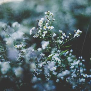 在教室伦流澡到高潮Hgl的图片
